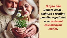 ecliptaaaaaaaaaaa