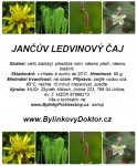 jancuv-ledvinovy-caj-50g