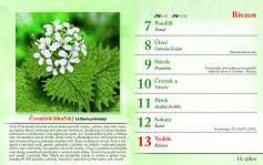 kalendar-lecive-bylinky-2022-nahled_Stránka_13