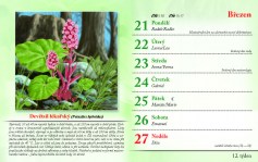 kalendar-lecive-bylinky-2022-nahled_Stránka_15