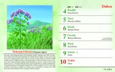 kalendar-lecive-bylinky-2022-nahled_Stránka_17