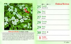 kalendar-lecive-bylinky-2022-nahled_Stránka_20