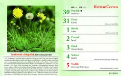 kalendar-lecive-bylinky-2022-nahled_Stránka_25