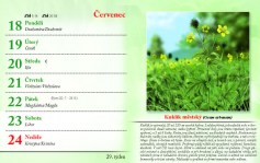 kalendar-lecive-bylinky-2022-nahled_Stránka_32