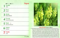kalendar-lecive-bylinky-2022-nahled_Stránka_34