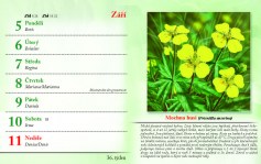 kalendar-lecive-bylinky-2022-nahled_Stránka_39