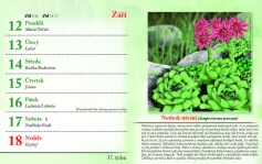 kalendar-lecive-bylinky-2022-nahled_Stránka_40