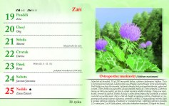 kalendar-lecive-bylinky-2022-nahled_Stránka_41