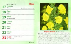 kalendar-lecive-bylinky-2022-nahled_Stránka_45