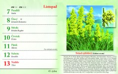 kalendar-lecive-bylinky-2022-nahled_Stránka_48