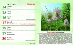 kalendar-lecive-bylinky-2022-nahled_Stránka_49