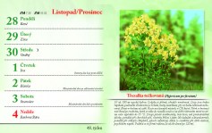 kalendar-lecive-bylinky-2022-nahled_Stránka_51