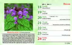 kalendar-lecive-bylinky-2024_Stránka_14